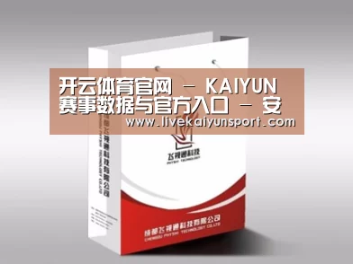 项目名称十三