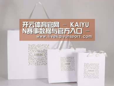 项目名称十一