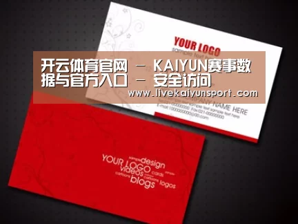 项目名称八