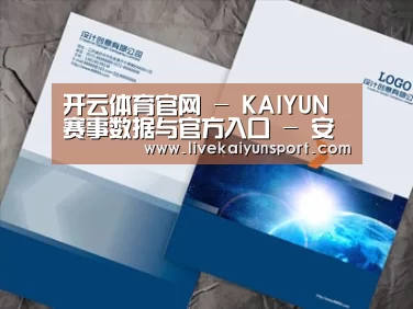 项目名称十