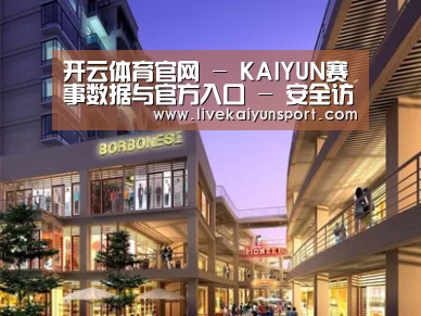 案例展示一
