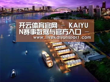 案例展示八