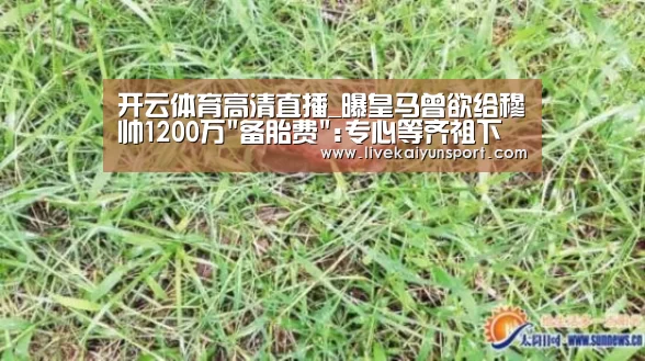 开云体育高清直播_曝皇马曾欲给穆帅1200万备胎费:专心等齐祖下课!(图1) KAIYUN中国站
