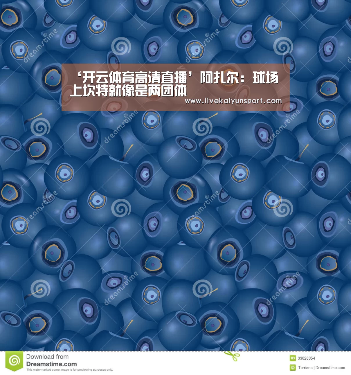 开云体育高清直播