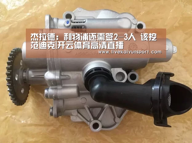 杰拉德:利物浦还需签2-3人 该挖范迪克|开云体育高清直播(图1) 开云体育入口