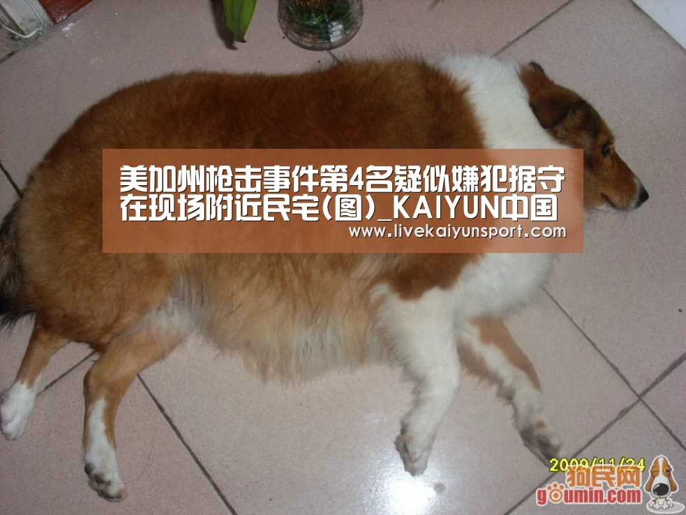 美加州枪击事件第4名疑似嫌犯据守在现场附近民宅(图)_KAIYUN中国站(图1) 开云平台