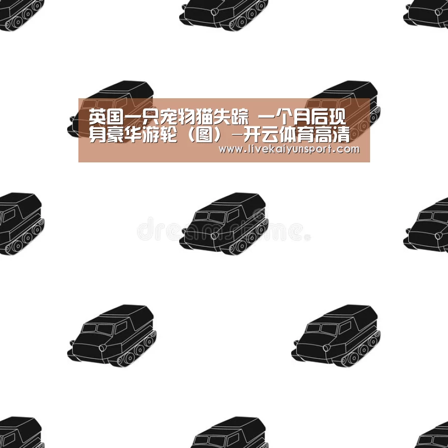 英国一只宠物猫失踪 一个月后现身豪华游轮(图)-开云体育高清直播(图1) 开云平台