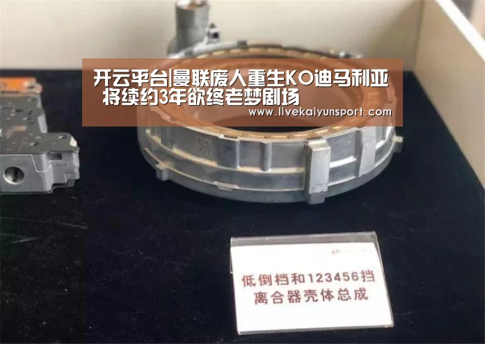 开云体育入口