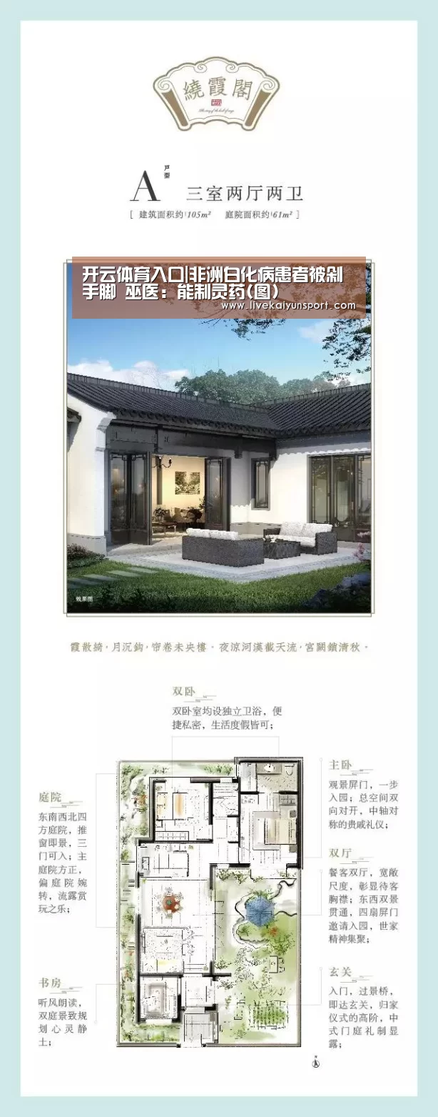 开云体育入口