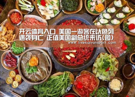 开云体育入口_美国一游客在以色列遇袭身亡 正值美国副总统来访(图)(图2) KAIYUN中国站