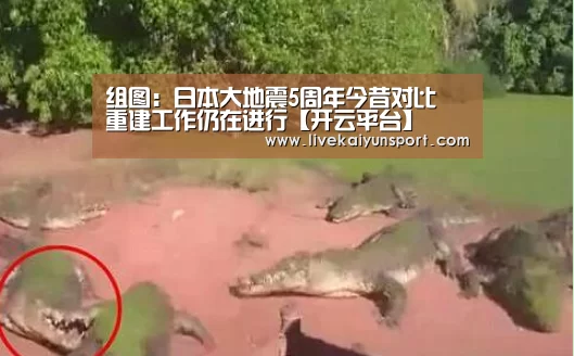 组图:日本大地震5周年今昔对比 重建工作仍在进行【开云平台】(图4) 开云平台