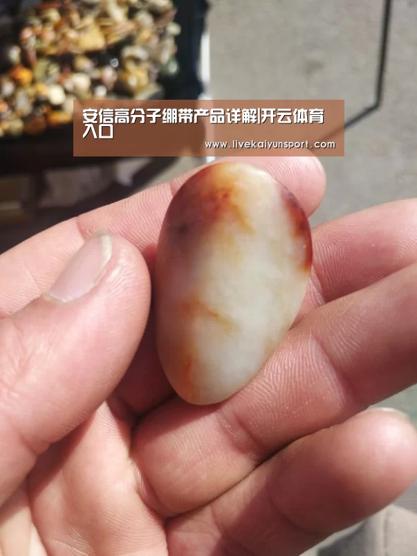 安信高分子绷带产品详解|开云体育入口(图2) 开云平台