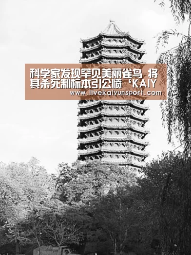 科学家发现罕见美丽雀鸟 将其杀死制标本引公愤‘KAIYUN中国站’(图1) 开云体育入口