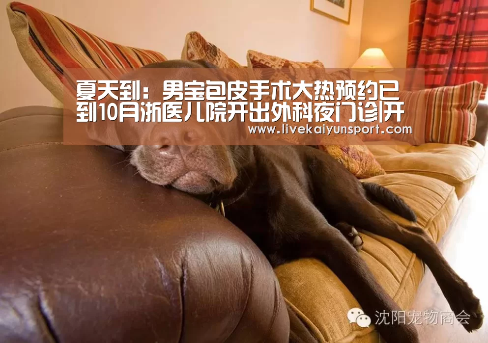夏天到:男宝包皮手术大热预约已到10月浙医儿院开出外科夜门诊|开云体育入口(图3) 开云平台